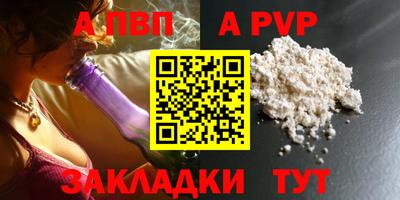 шишки Новодвинск