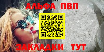 шишки Новодвинск