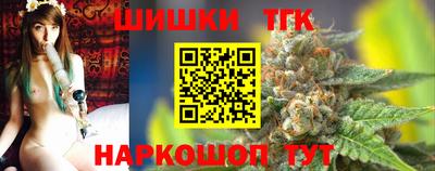 шишки Новодвинск