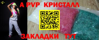 шишки Новодвинск