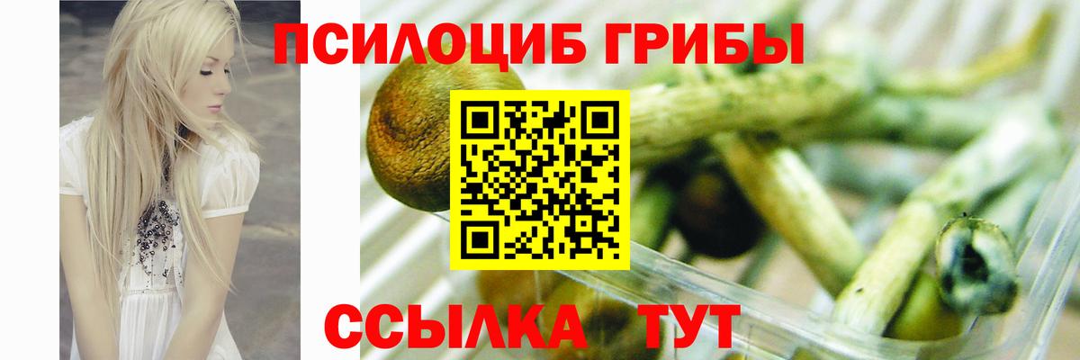 Псилоцибиновые грибы MAGIC MUSHROOMS Янаул